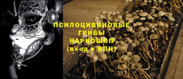 ECSTASY Балахна
