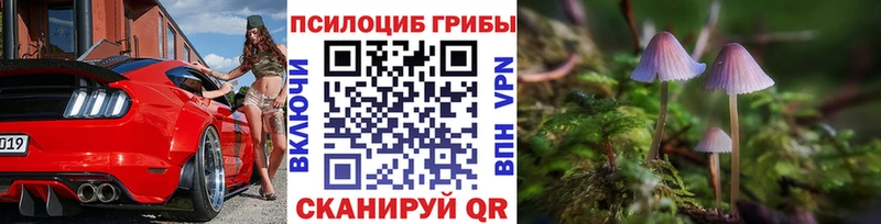 Галлюциногенные грибы Magic Shrooms Нюрба